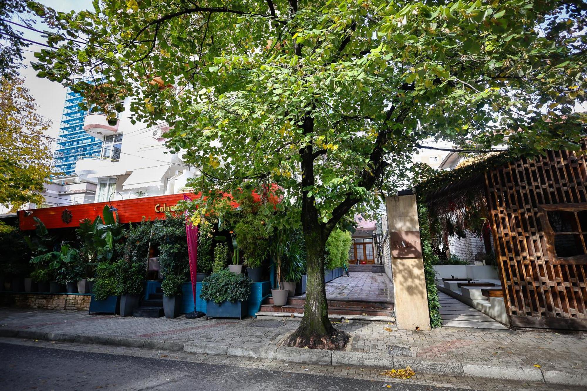 Noela'S Place Тирана Екстериор снимка